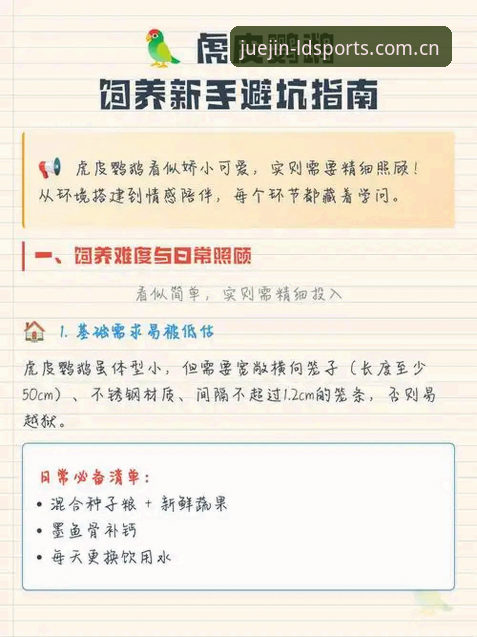 ldsports最新地址下载不了怎么办 新手避坑心得:ldsports最新地址下载不了怎么办?LDSports综合实用经验分享