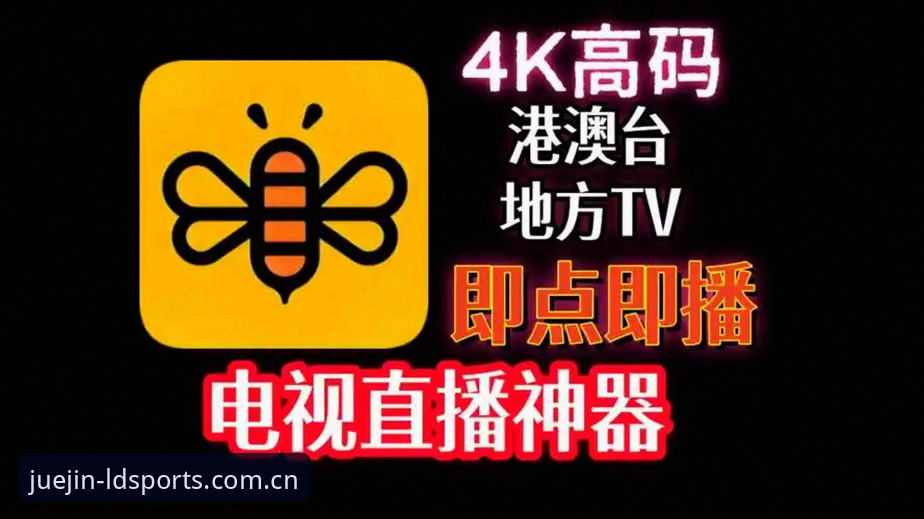 LDSports综合2026客户端深度评测：新手也能轻松上手的竞技神器